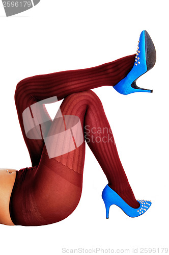 Image of Legs in burgundy pantyhose.