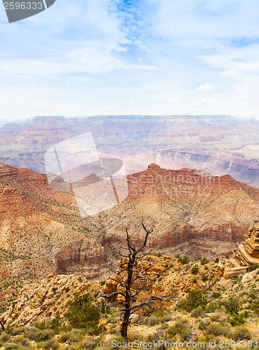 Image of Grand Canyon