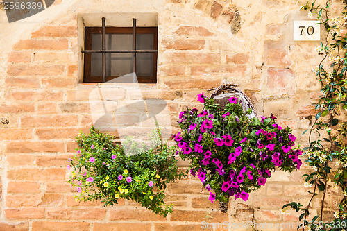 Image of Tuscan flowers