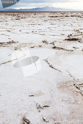 Image of Salt Desert