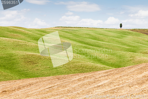 Image of Tuscany agriculture