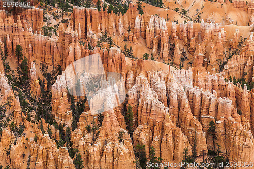 Image of Bryce Canyon