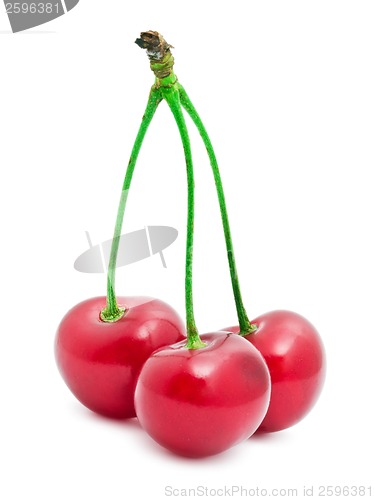 Image of Red cherry