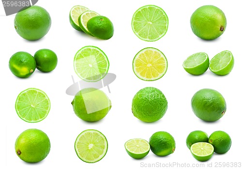 Image of Lime