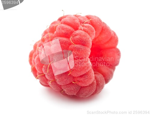 Image of Fresh raspberry