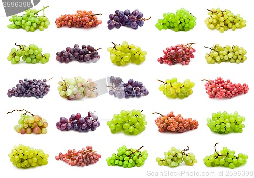 Image of Grapes