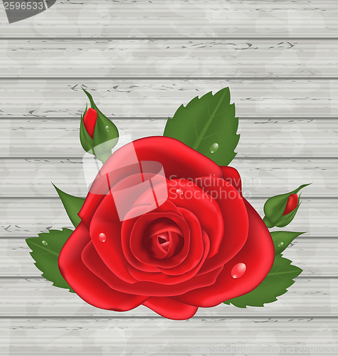 Image of Close-up red rose for Valentine Day on wooden background