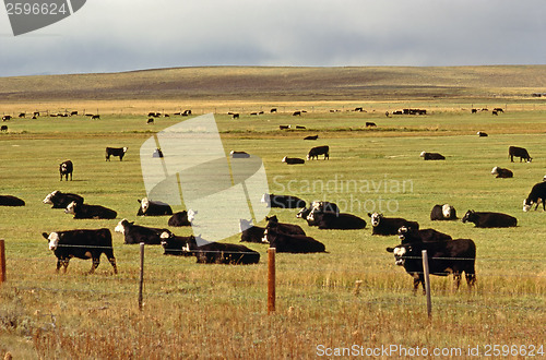 Image of Dairy Farm, Oregon