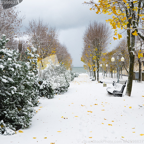 Image of Alley in the Park later in the autumn. Snow storm 