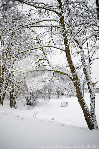 Image of Winter landscape with a pond in the countryside