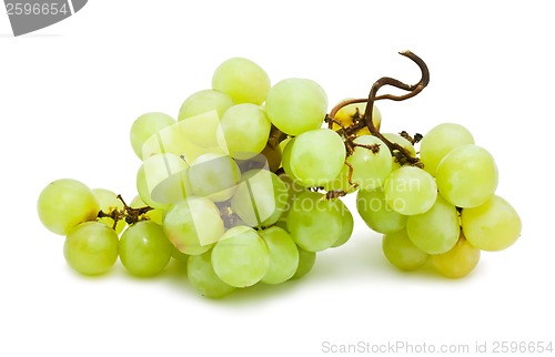 Image of Grapes