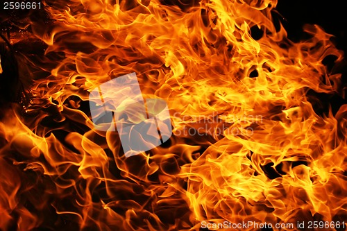 Image of Fire