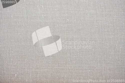 Image of Canvas background