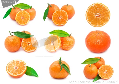 Image of Mandarins