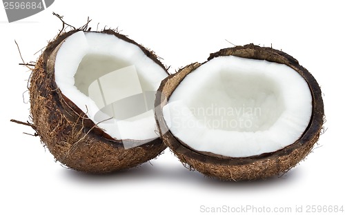 Image of Coconut