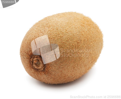 Image of Kiwi