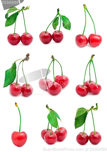 Image of Cherry