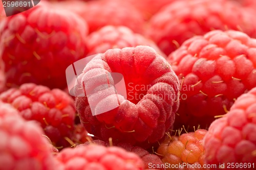 Image of Raspberries