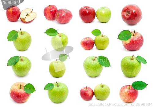 Image of Apples