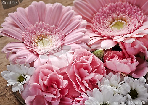 Image of Pink and white flowers closeup