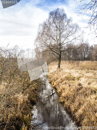 Image of Grassland with ditch