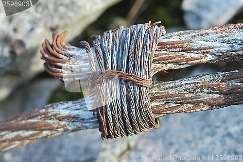 Image of Steel Ropes
