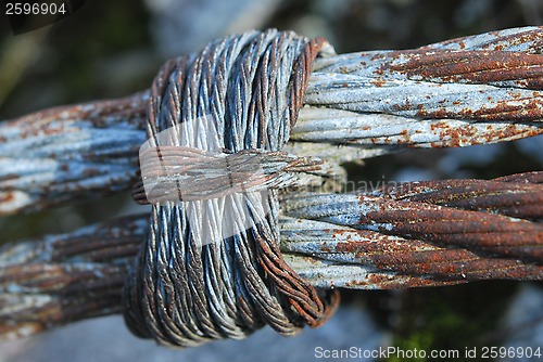 Image of Binary Rope