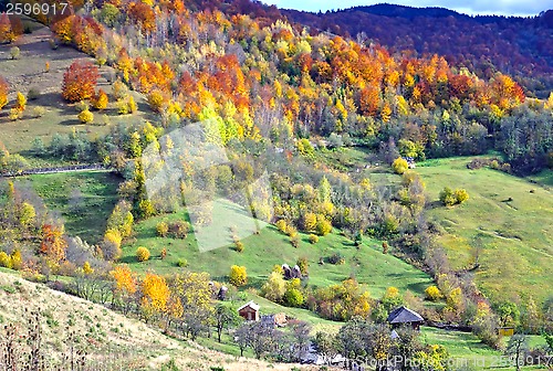 Image of Meadow and forest in autumn.