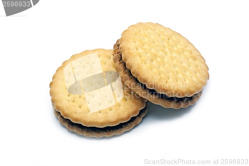 Image of Biscuit