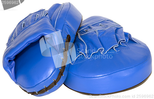 Image of Blue mitts