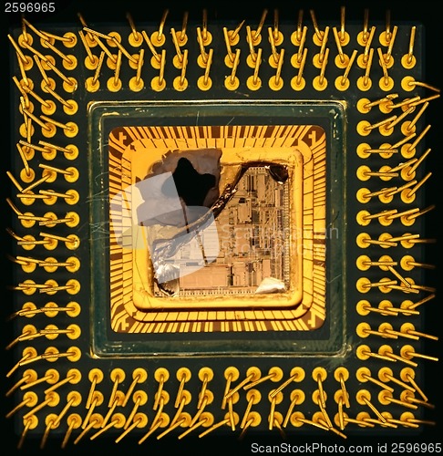 Image of Chip