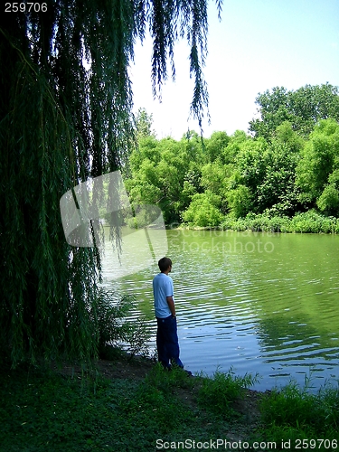 Image of River Reflections