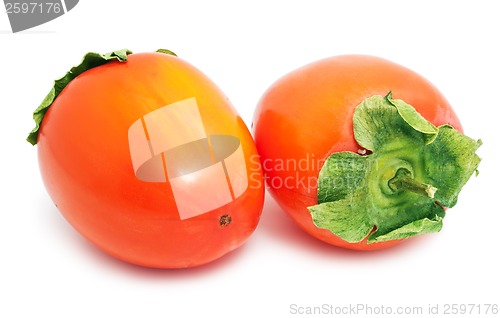 Image of Persimmon