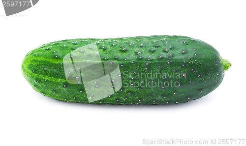 Image of Fresh cucumber