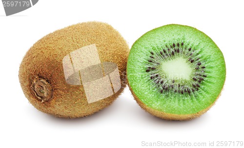 Image of Kiwi