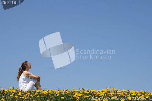 Image of Girl sitting in dandelion field