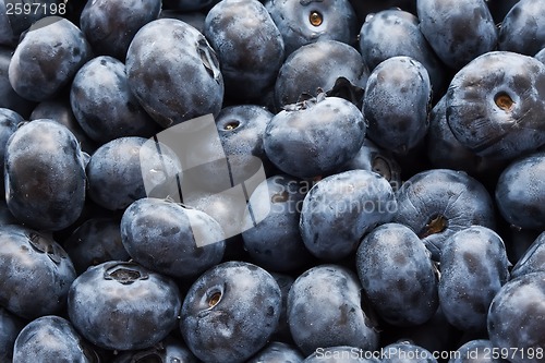 Image of Blueberries