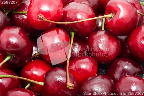 Image of Red cherry