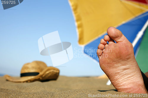 Image of Sunbathing