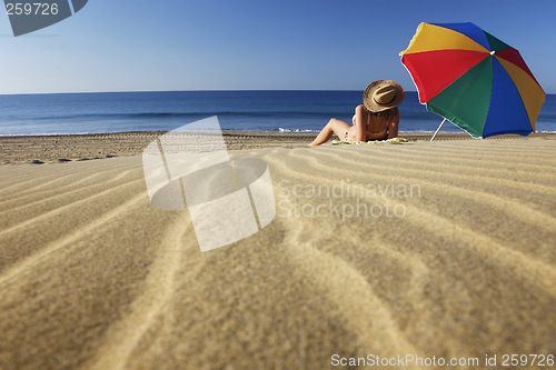 Image of Summer Beach