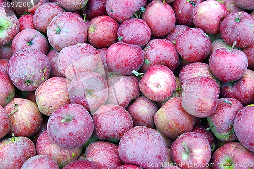 Image of Ripe fresh apple