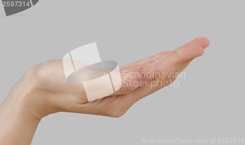 Image of White hand on perfect gray background