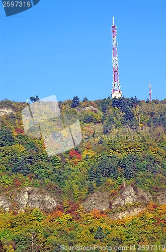 Image of Forest in autumn