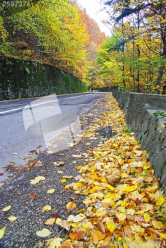 Image of Autumn road