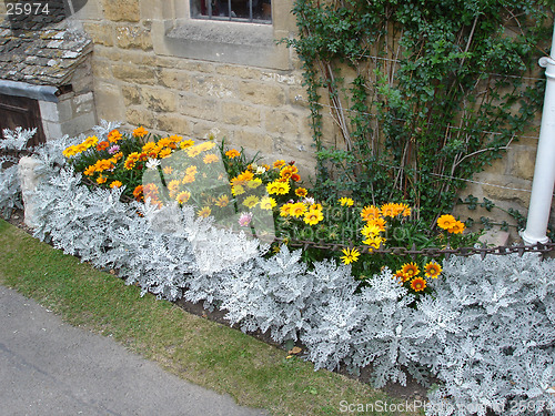 Image of Flowers in a garden