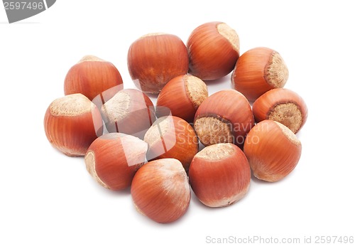 Image of Hazelnuts or filbert