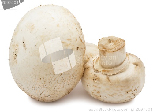 Image of Champignon mushrooms