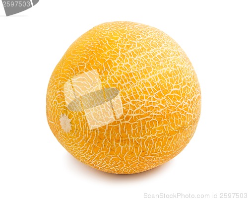 Image of Melon