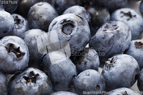 Image of Blueberries