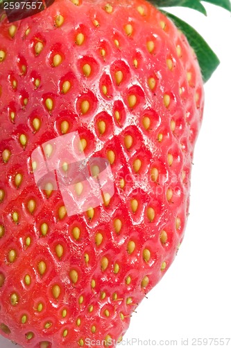 Image of Strawberry